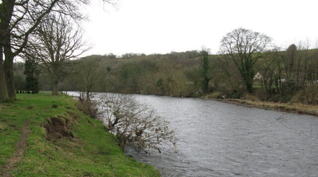 River Clyde up river from Rosebank Near Milton-Lockhart Farm.