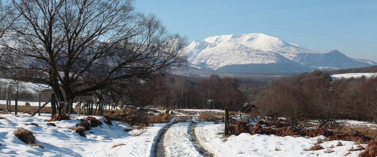 Track to Bohenie Looking along the track to Bohenie with Aonach Mor in the background.