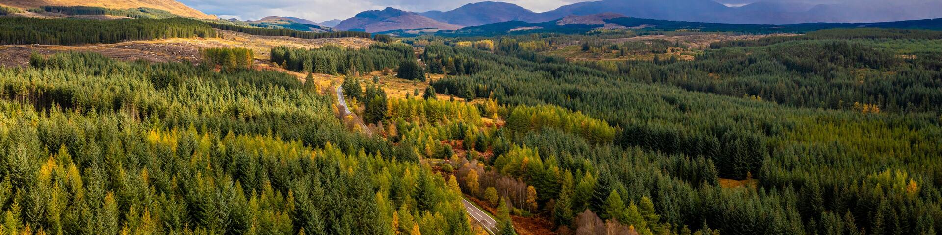 Aerial view of lush forest and majestic mountains in Roy Bridge, Scotland.