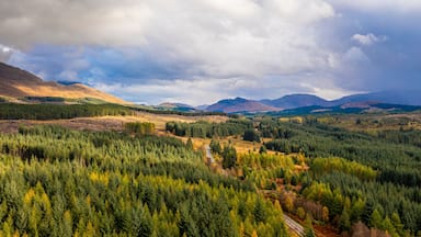 Aerial view of lush forest and majestic mountains in Roy Bridge, Scotland.