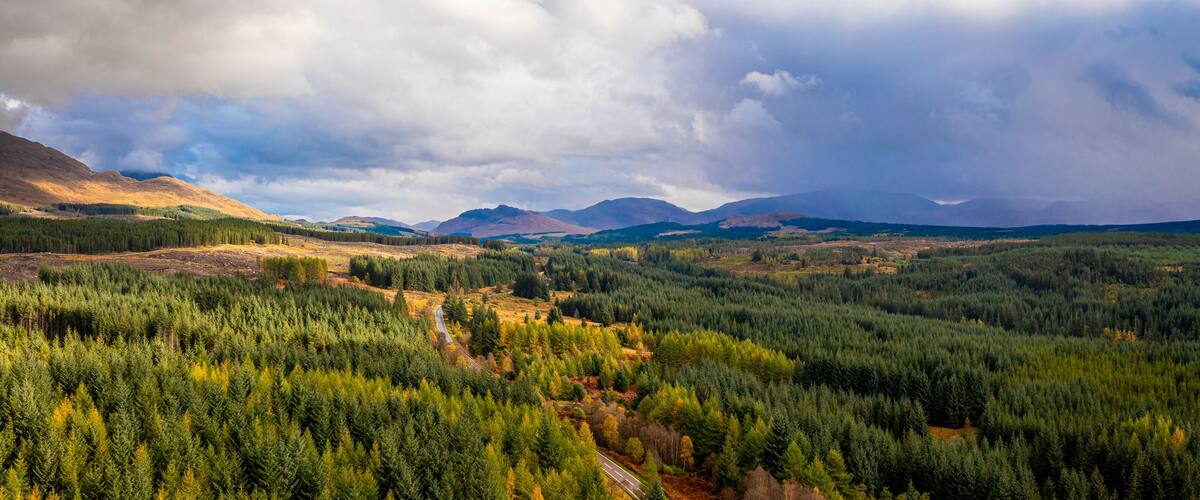 A mountainous landscape with dense forests and a winding road.