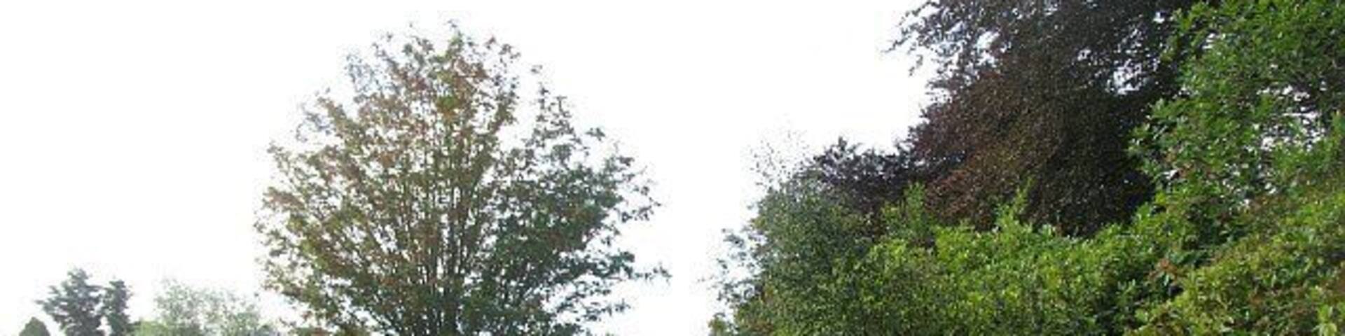 Robert Douglas Memorial Park Large park in Scone.