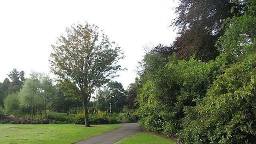 Robert Douglas Memorial Park Large park in Scone.