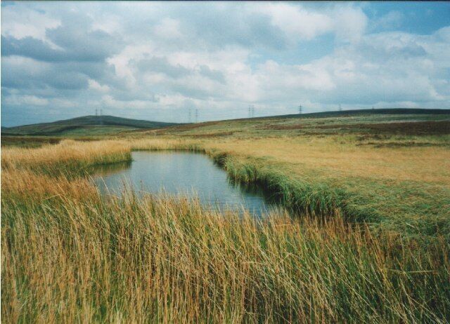 Blackfield Loch by John Wallace. on a visit to Fardens Farm nearby
