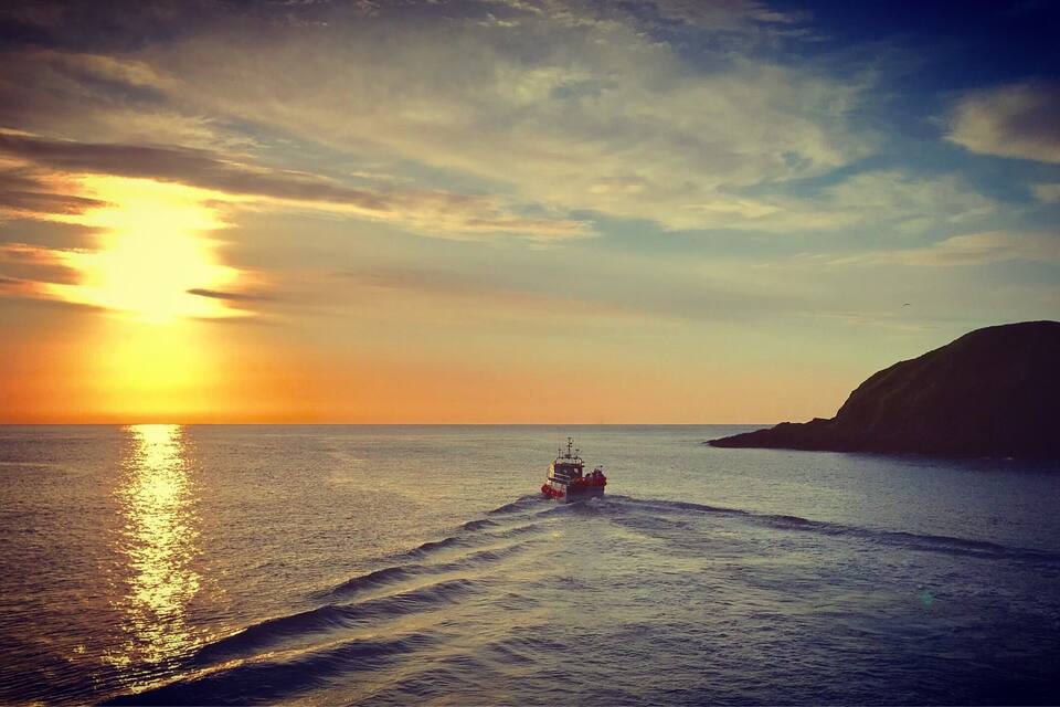 A boat moving across calm waters during sunset, with a mountain and a clear sky in the background.