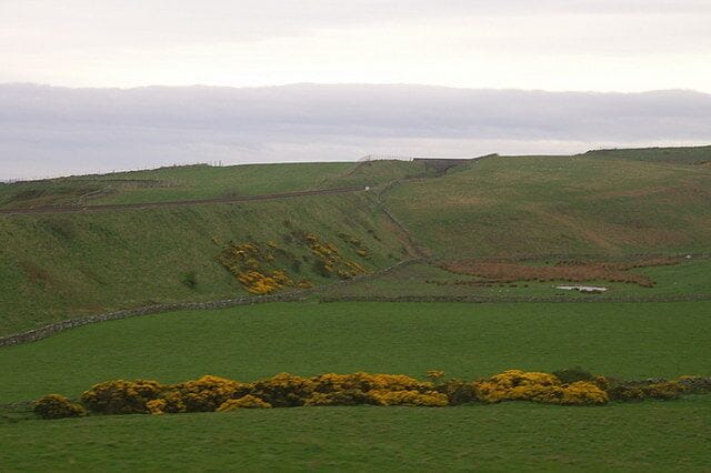 Railway line at Muchalls Gorse and rushes in the fields in front of the main Aberdeen-Dundee railway line, here running on an embankment before entering a cutting.