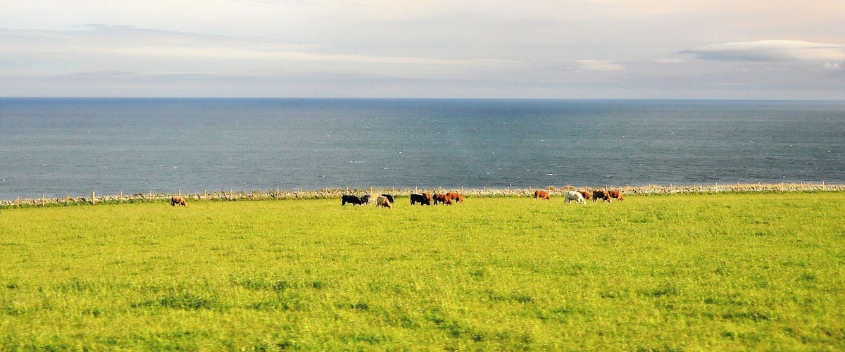 Fahrt von Aberdeen zu Dunnotar Castle
