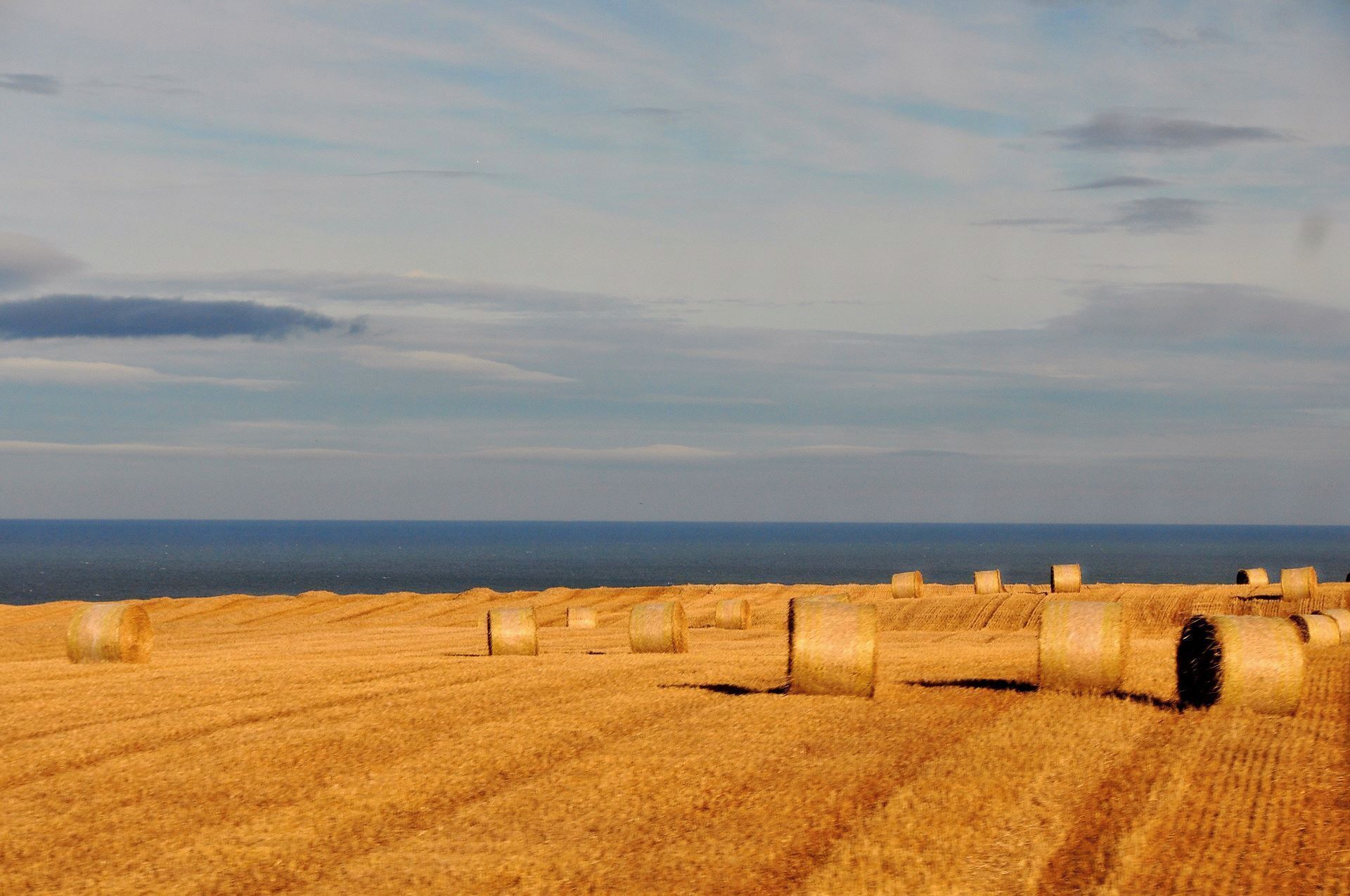 Fahrt von Aberdeen zu Dunnotar Castle
