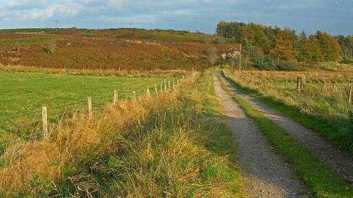 Farm track and fields east of Craggie Cat Hill