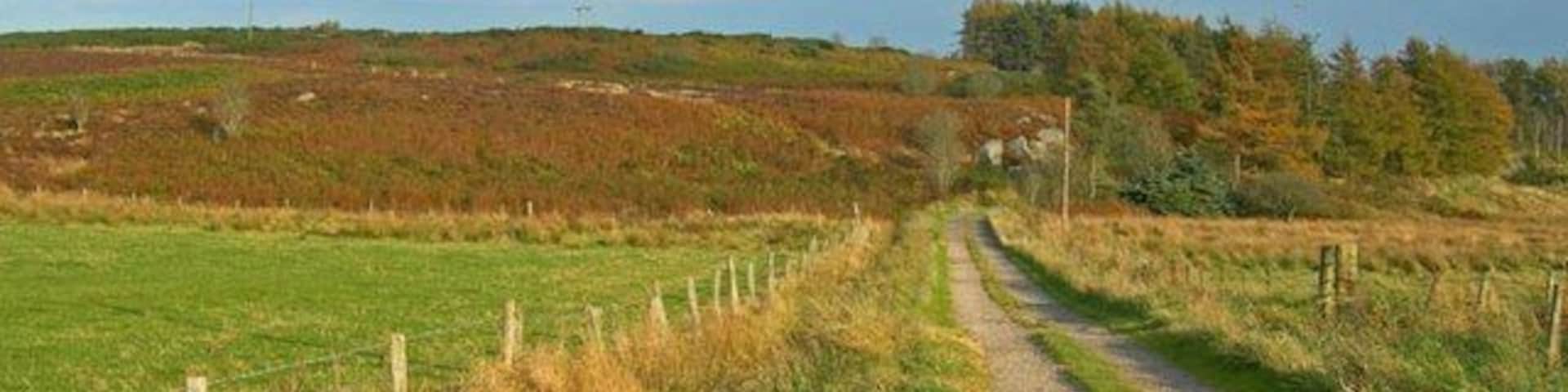 Farm track and fields east of Craggie Cat Hill