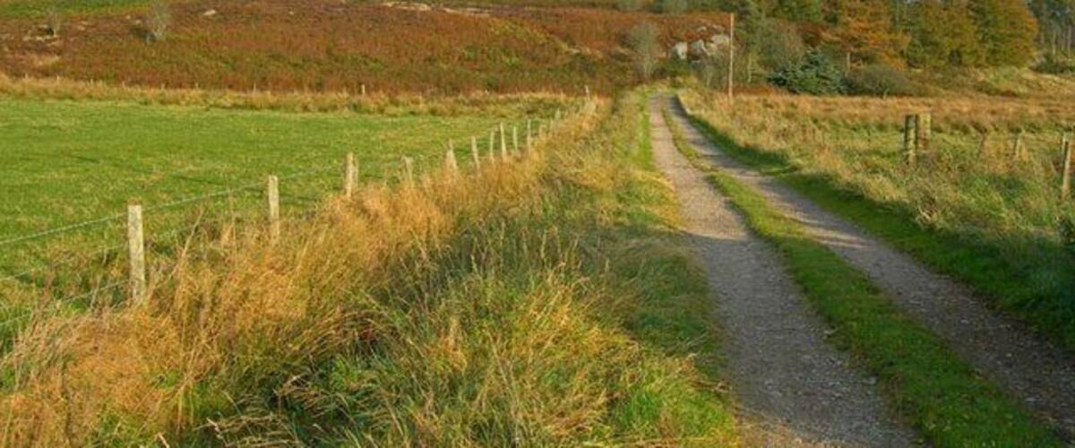 A rural dirt path flanked by grassy fields and a fence.