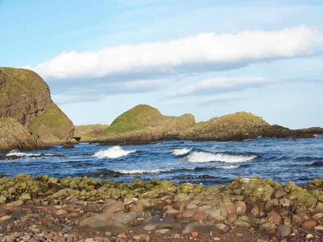 Rocky shoreline, Catterline Looking seaward an island can be observed at high water but at low water its just part of the adjoining mainland. Throughout the year a fairly large population of seals take up residence on the island.