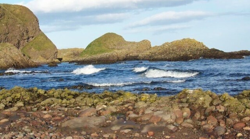 Rocky shoreline, Catterline Looking seaward an island can be observed at high water but at low water its just part of the adjoining mainland. Throughout the year a fairly large population of seals take up residence on the island.