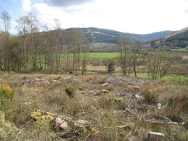 Felled area, Stachur Only a stripwood in contrast to the vast plantations all over Argyll.