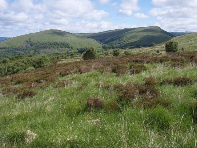 Heathery/grassy slopes of Meall Reamhar The walking was either deep heather or long grassy with the occasional hidden muddy hole for the dog to fall down.