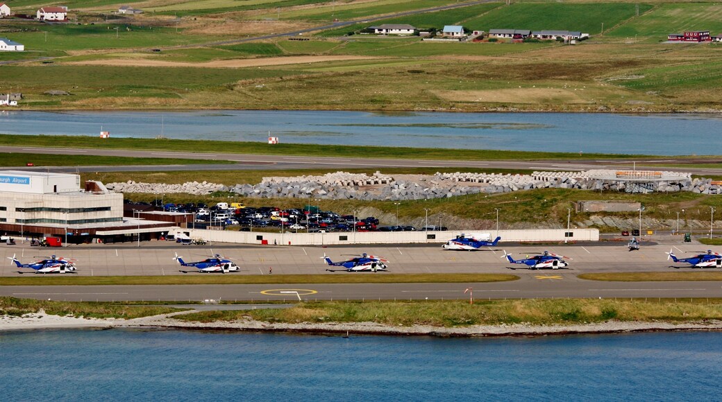 Busy Sumburgh IMG_2012