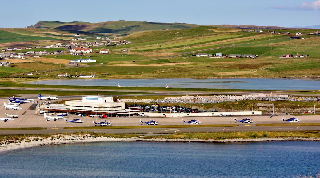 Busy Sumburgh IMG_8589