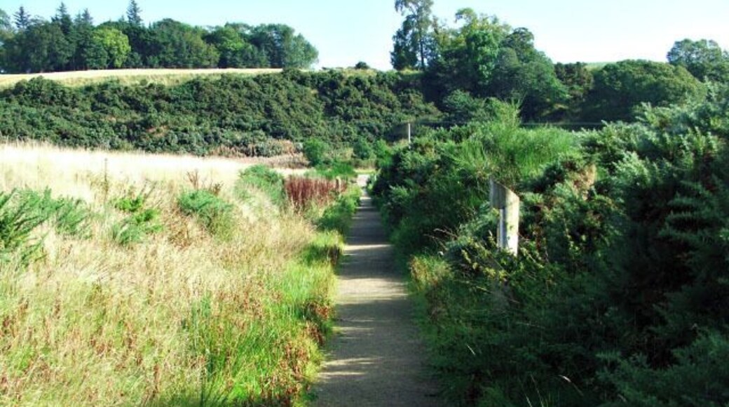Footpath from RSPB hide at Nigg Bay to the car park.