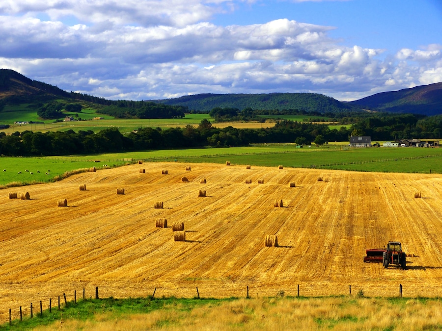 A vast golden wheat field with hay bales and a tractor.