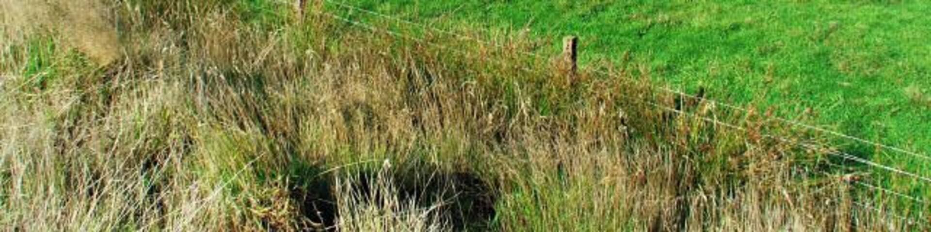 RSPB reserve at Nigg Bay.