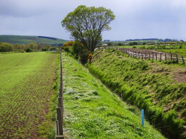 Paisaje rural con un campo cercado, un árbol y colinas onduladas al fondo.