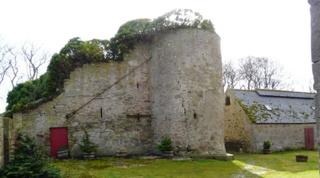 Ruins at Glenmorangie House