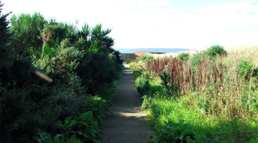 Path to RSPB hide at Nigg Bay.