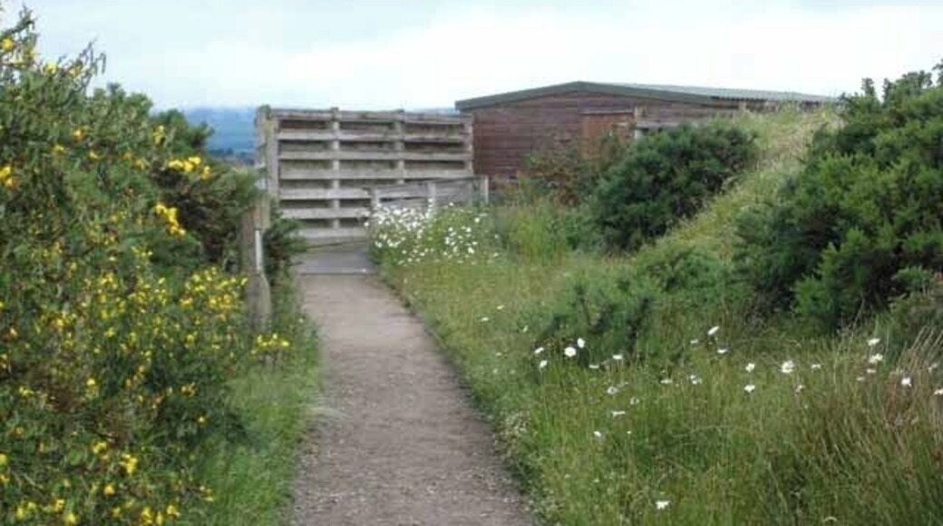 Bird Hide at Nigg Bay RSPB reserve A particularly well endowed bird hide at the Nigg Bay RSPB reserve. The hide gives views both out to the tidal flats of Nigg Bay to the south, and to wetlands to the north.
