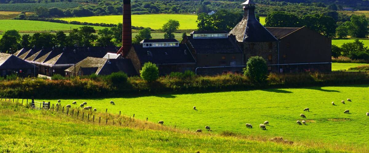 A rural landscape with a stone building, sheep grazing, and rolling hills in the background.