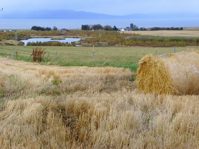 A rural landscape with hay bales, a field, and a body of water in the distance.