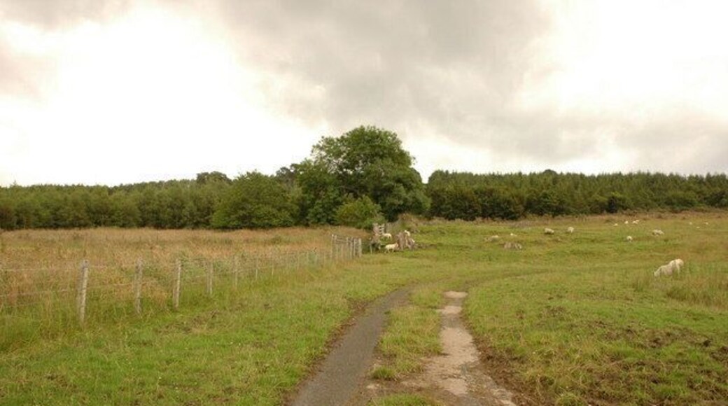 Track to Bayfield Loch There is a rather overgrown track to Bayfield Loch although it was a bit wet for me to explore!