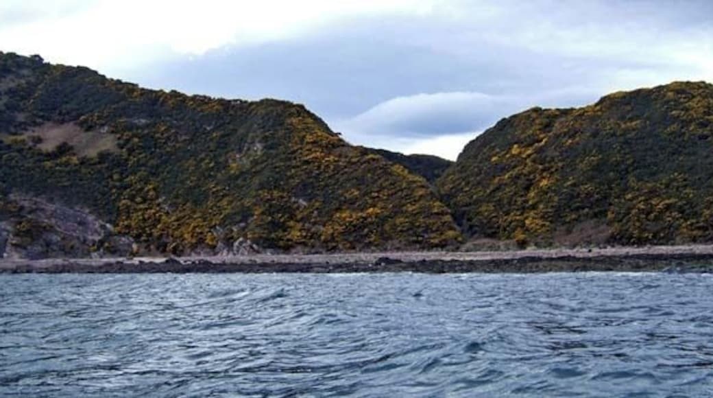 Port an Righ Where the stream flows to the shore is the spot where mariners used to bring their ships in and anchor them to the rocks. Indeed at certain tide levels it is possible to find a large iron ring secured to one of the boulders for just this purpose. In the 19th Century a proper harbour was developed at Balintore just over a mile up the coast.