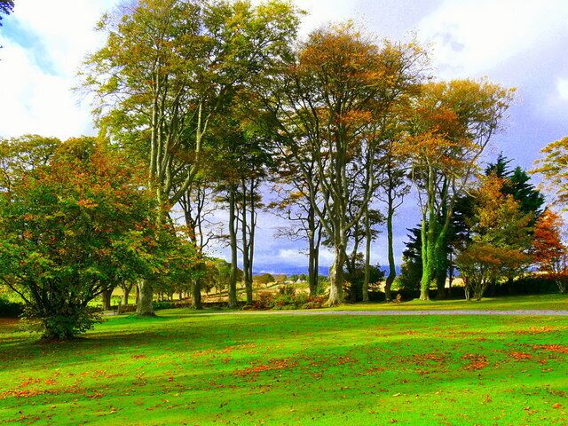 Un parque con césped verde, árboles con hojas otoñales y un cielo nublado.