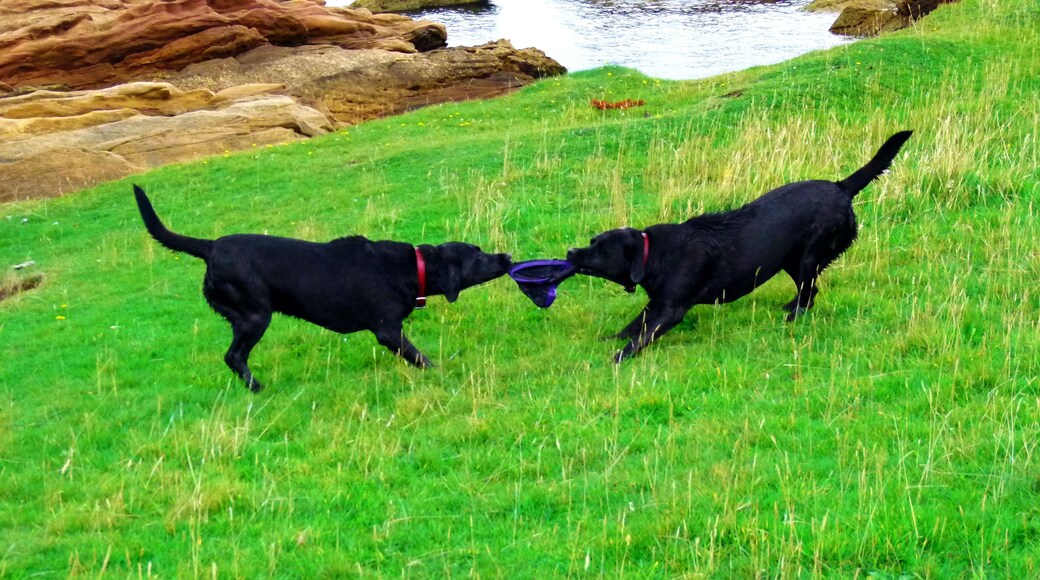 Look Into Your Mirror