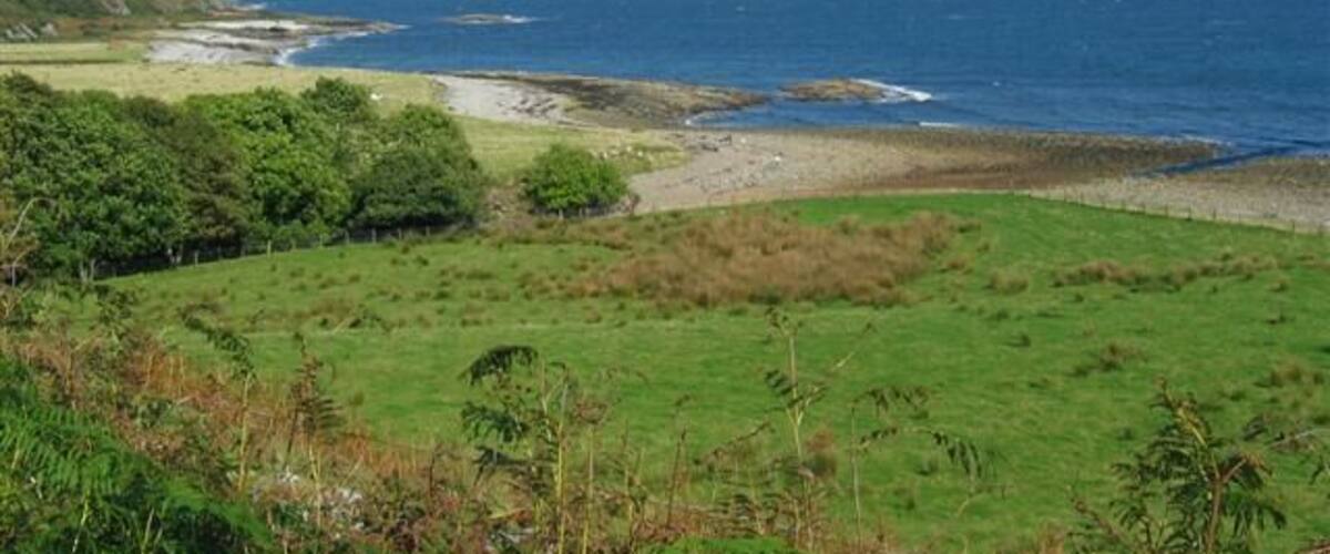 A coastal landscape with a grassy foreground, a rocky shoreline, and the ocean in the background.