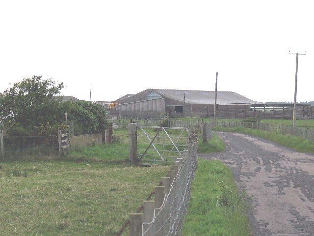 Road down to Tayinloan/Gigha ferry terminal. Note the oyster catcher sitting on the gate post,and look at the other submitted photo.