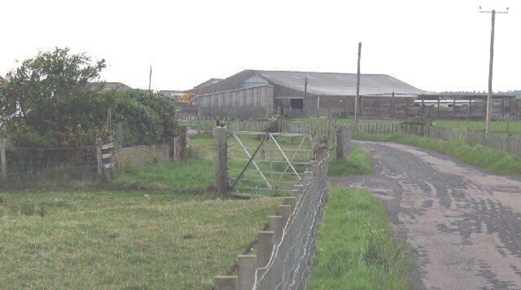 Road down to Tayinloan/Gigha ferry terminal. Note the oyster catcher sitting on the gate post,and look at the other submitted photo.
