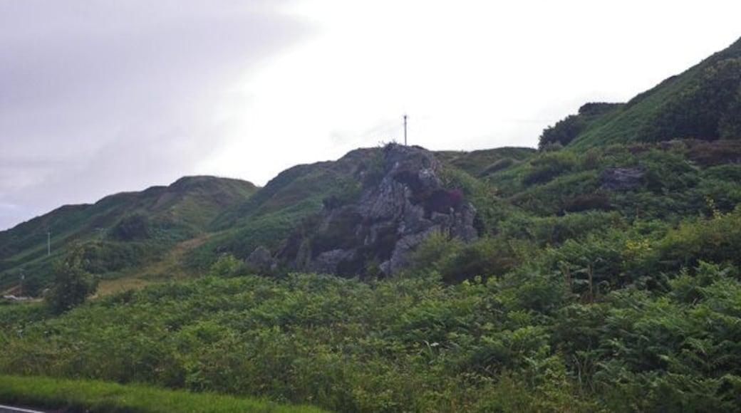 Humpy vegetation laden outcrops north of Muasdale, near to Muasdale, Argyll And Bute, Great Britain. These strange rocky humps resemble a giant prehistoric stegosaurus rising up from beneath the vegetation, displaying its somewhat irregular dorsal plates. The view is from the coastal highway.