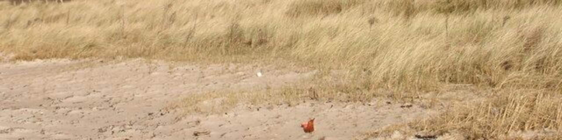 Dun Skeig from the beach This dun affords spectacular views to Arran and Jura.