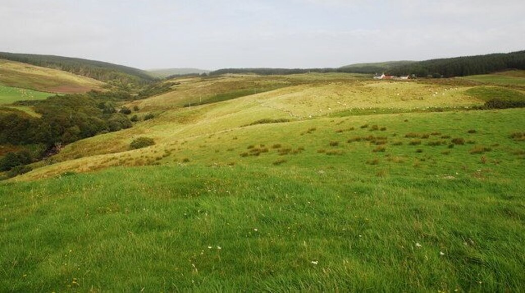 Clachaig Water, Kintyre Clachaig Water river valley on left, rough pasture in centre and start of extensive forests on horizon. Low Clachaig farm at top right.
