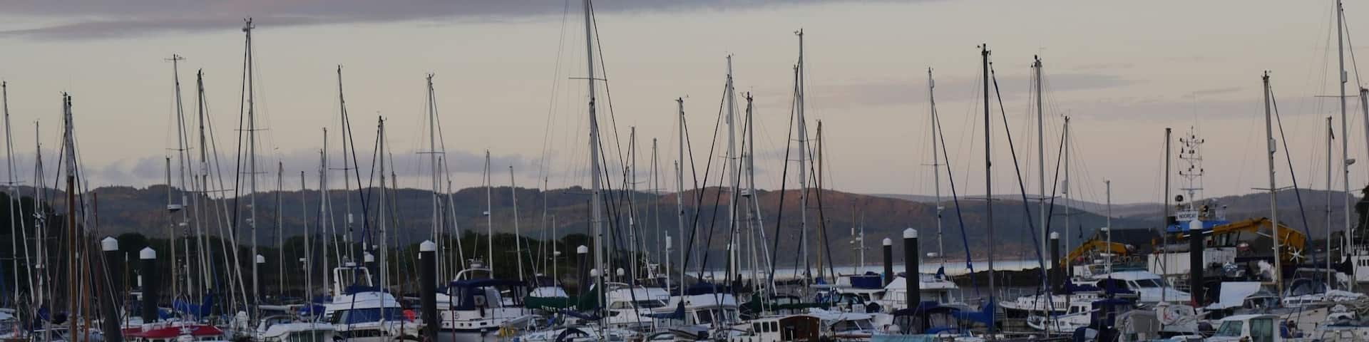 Beautiful quality of light here in Scotland, impossible not to enjoy