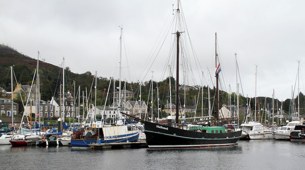 Tarbert 5