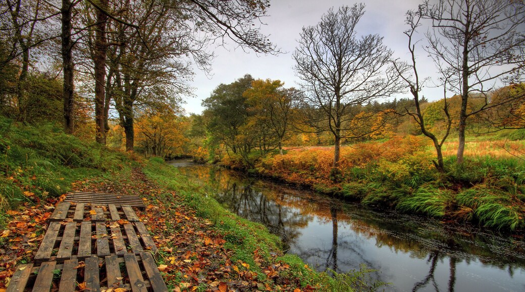 Barr Water at Glenbarr Abbey