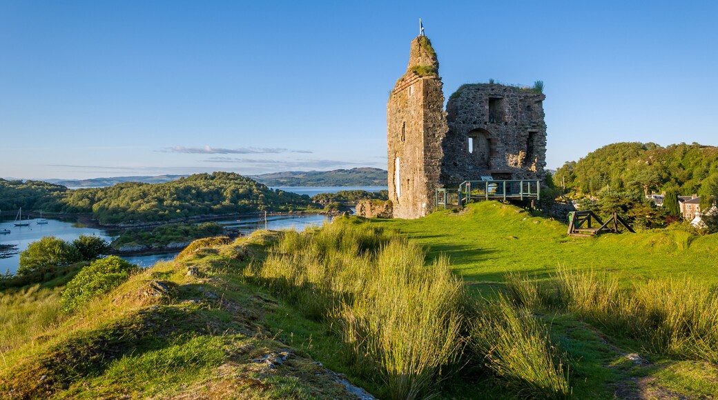 Tarbert