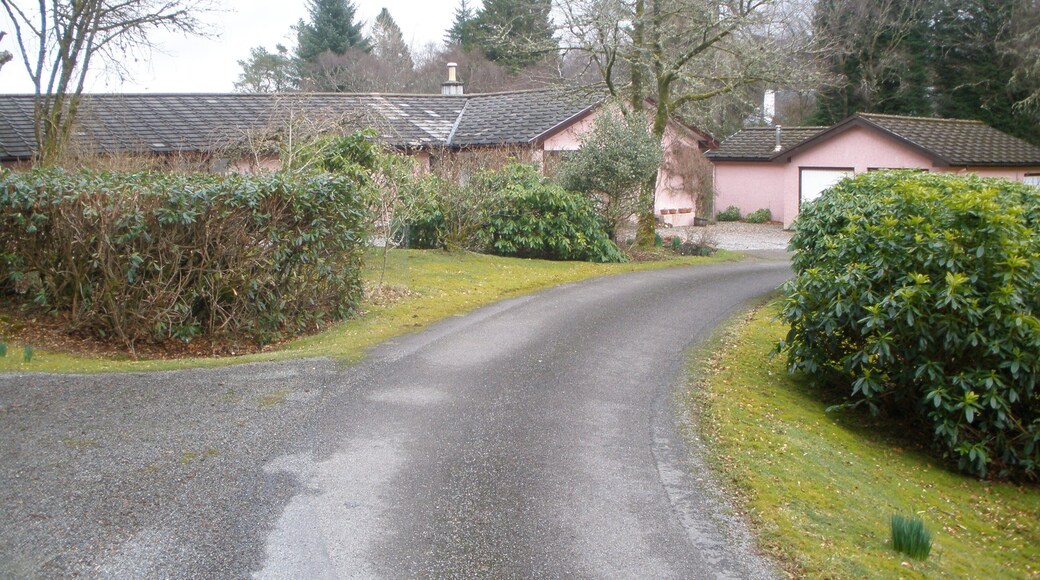 Estate road to Lonan House