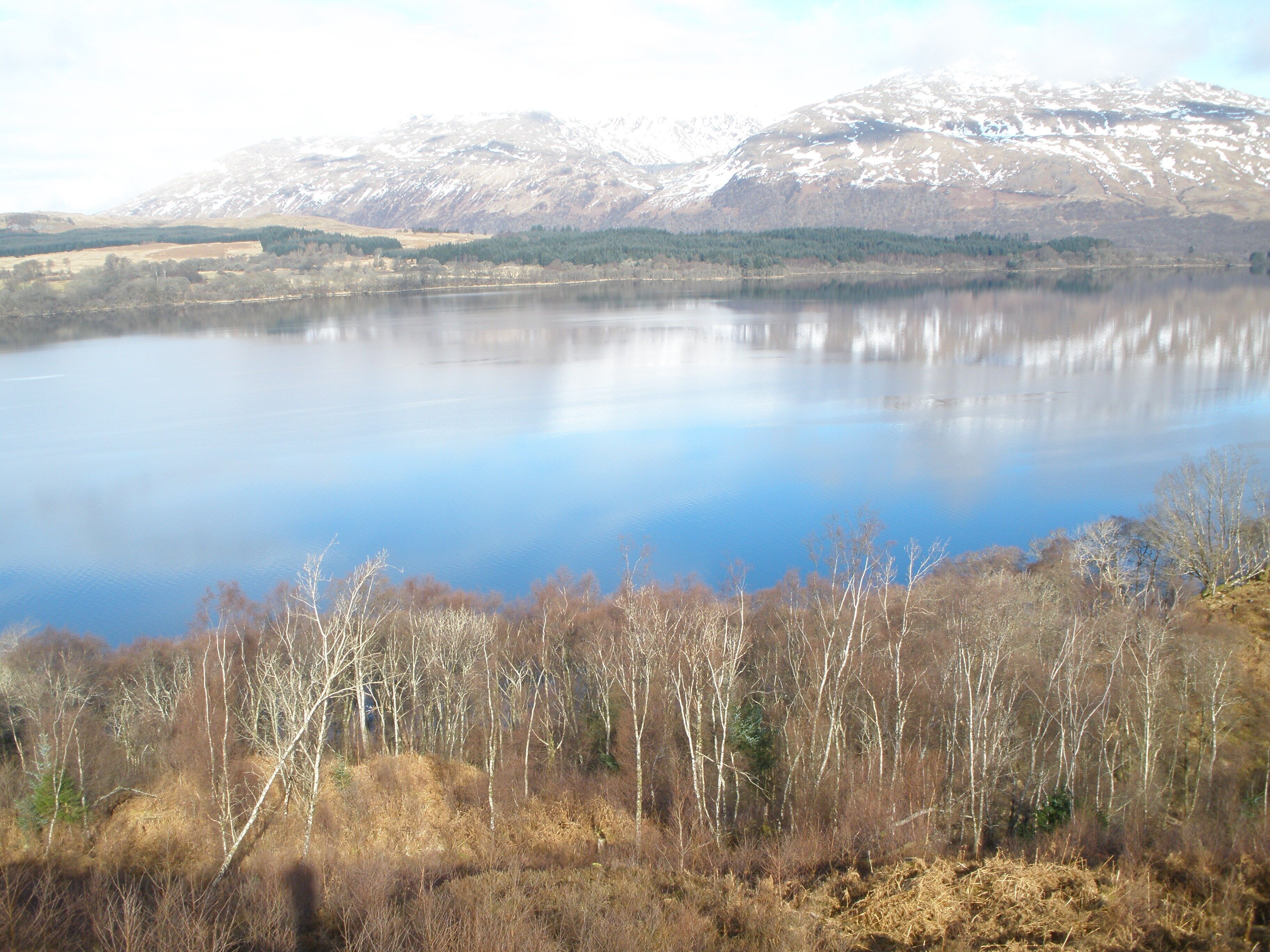 Native woodland at Creag an Taghain Ben Cruachan in the background