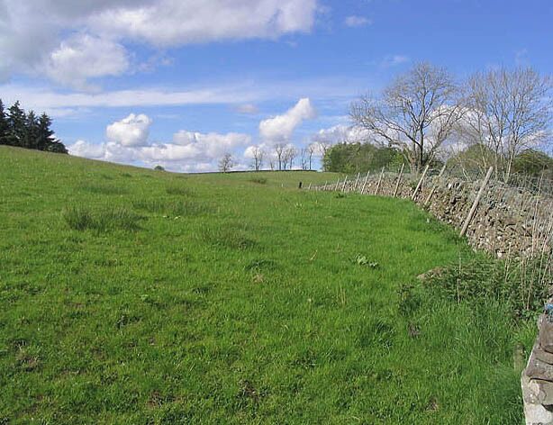 Grazing field To the west of Gilchristland Farm.