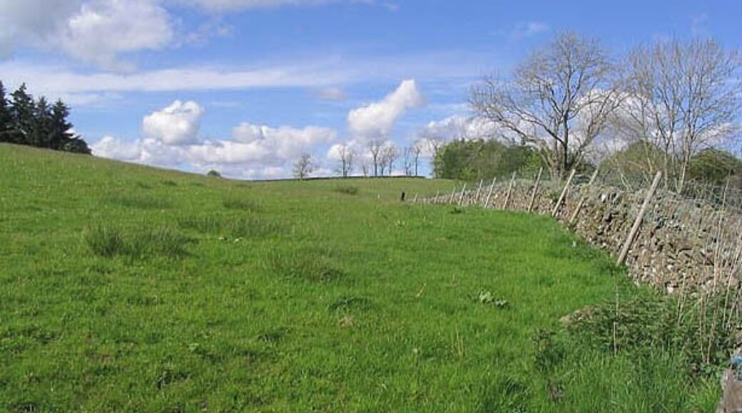 Grazing field To the west of Gilchristland Farm.