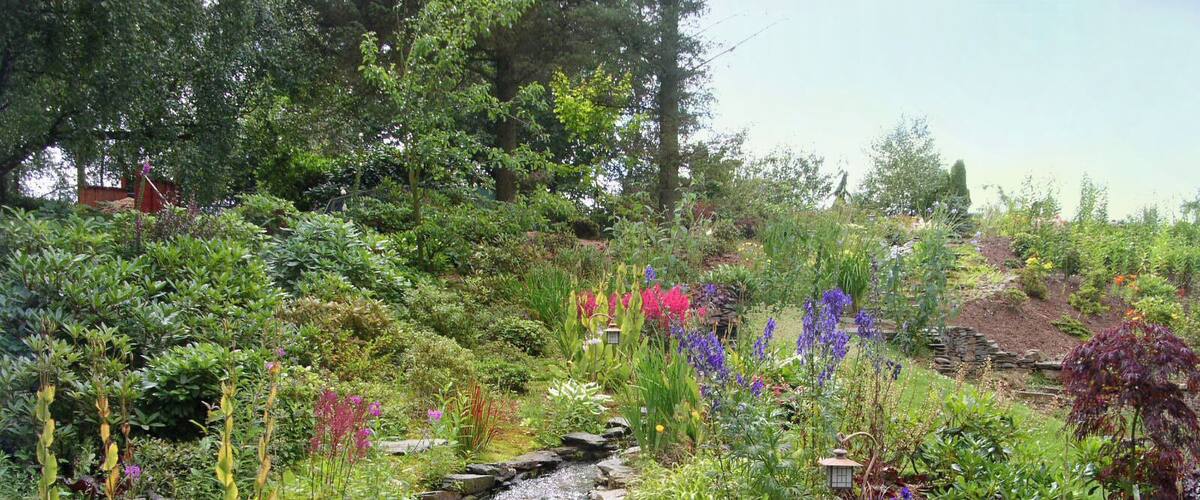 A garden with a small waterfall, various plants, and a stone wall.