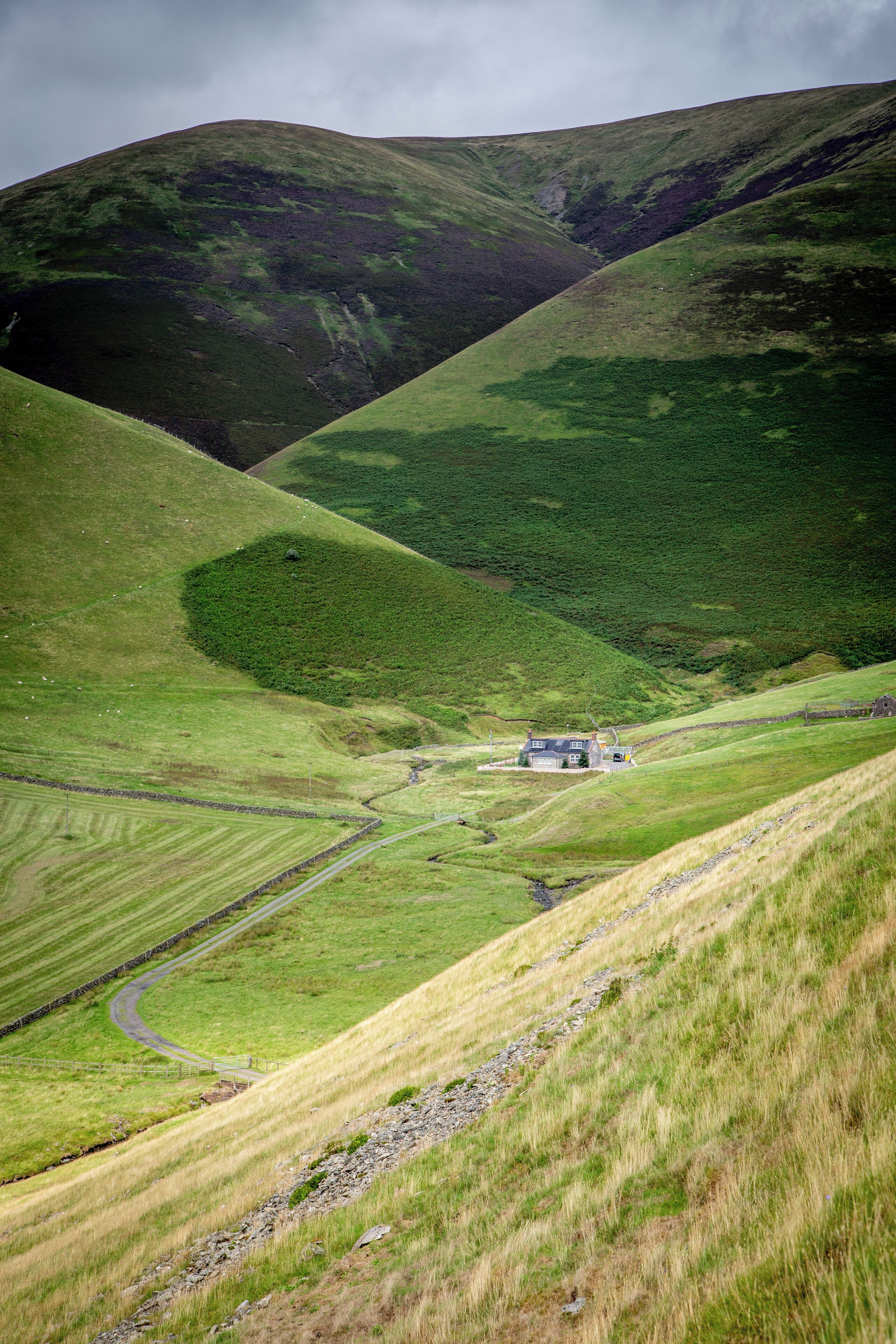 A rural landscape with rolling hills, a winding road, and a small house.